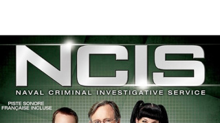 NCIS - Námorný vyšetrovací úrad VIII (19)